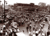 Race riot_tiny